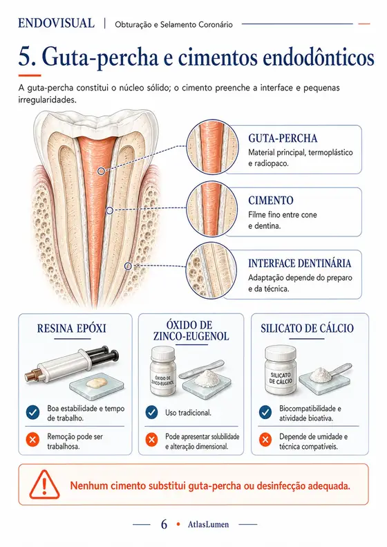 Ficha EndoVisual — Guta-percha e cimentos endodônticos