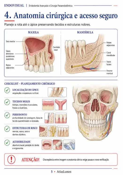 Ficha EndoVisual — Anatomia cirúrgica e acesso seguro