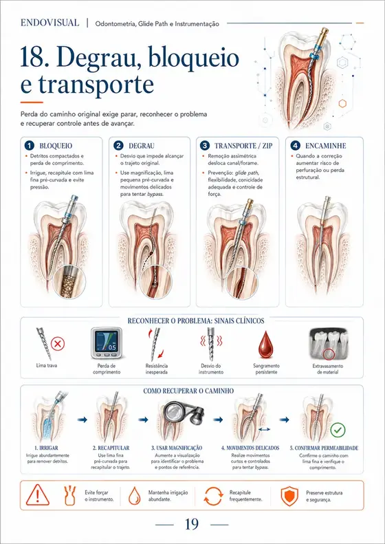 Ficha EndoVisual — Degrau, bloqueio e transporte