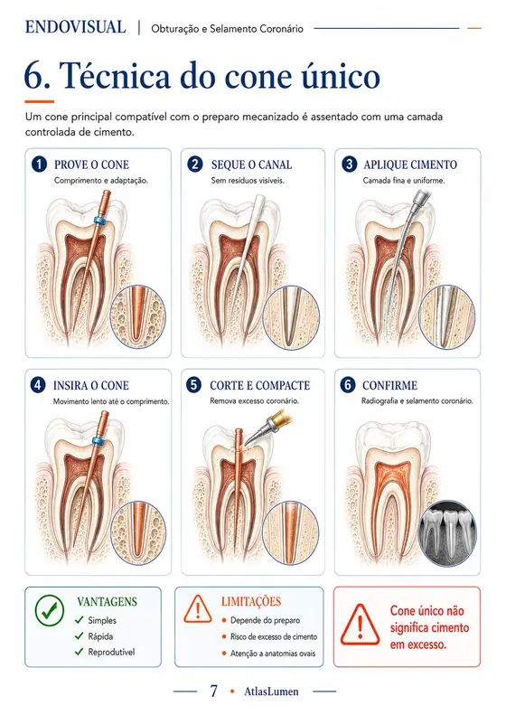 Ficha EndoVisual — Técnica do cone único