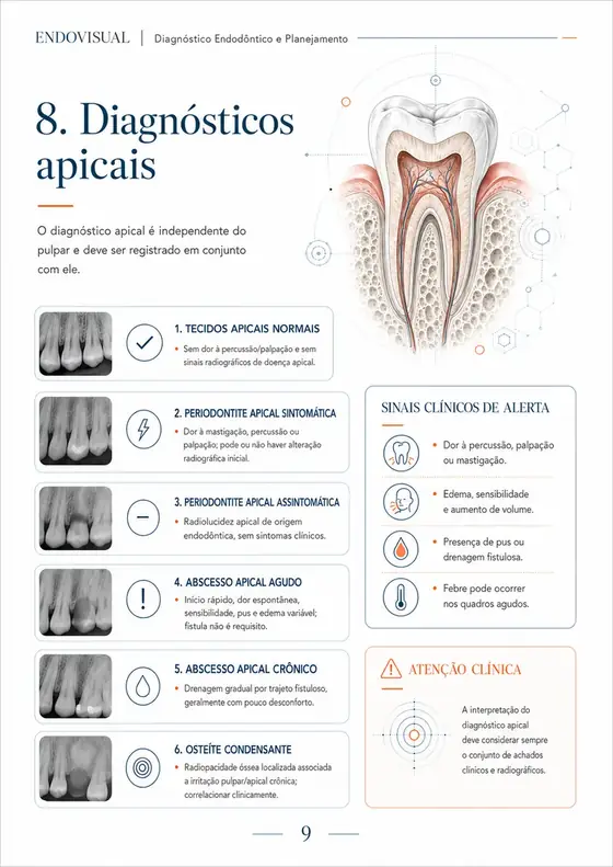 Ficha EndoVisual — Diagnósticos apicais, em alta resolução